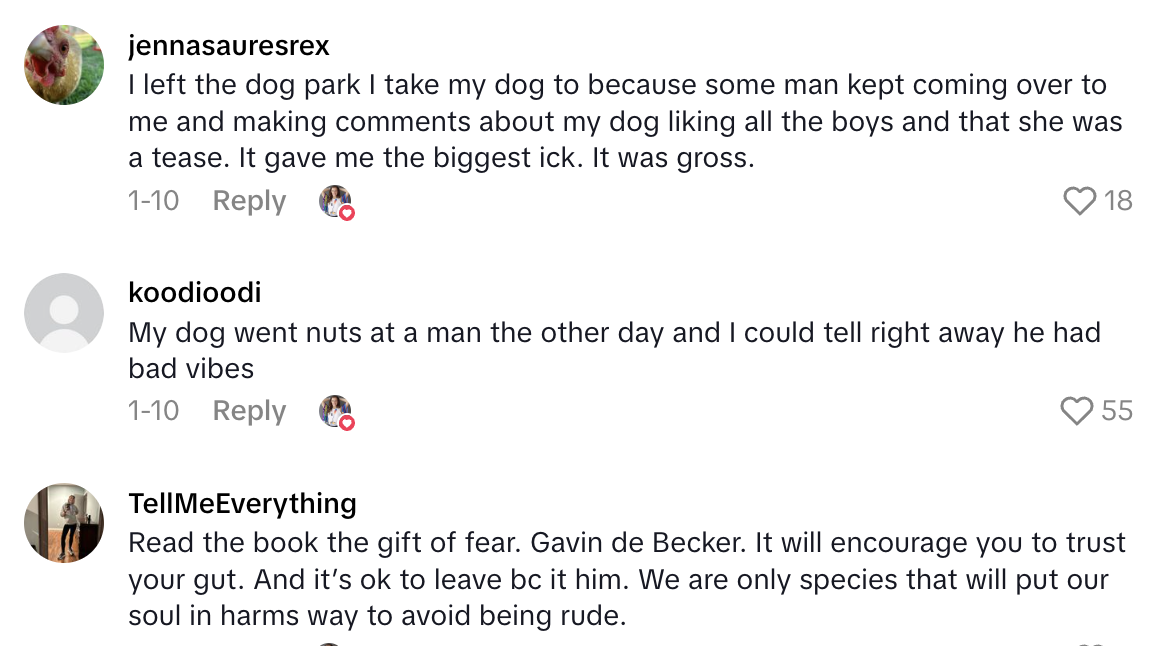 Screenshot 2025 07 02 at 10.19.15 AM Dog Owner Got A Weird Feeling About A Man At A Park And Her Pooch Confirmed Her Suspicions.   This man is gonna think that were leaving because of him.